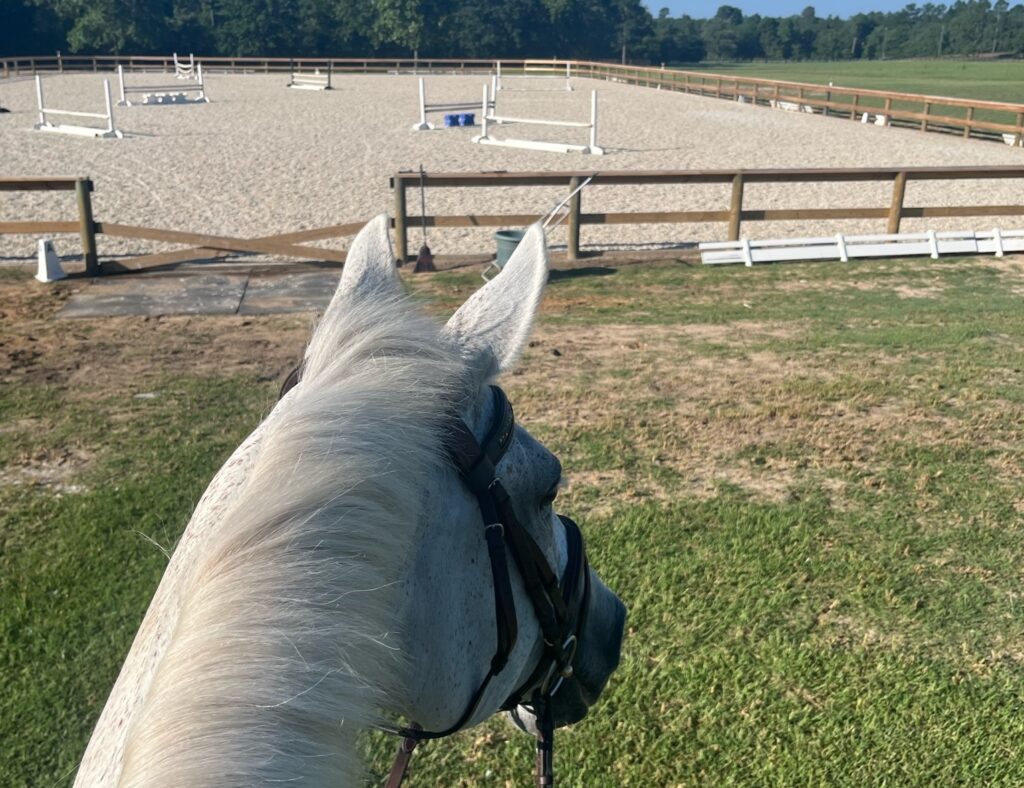 Sandy Bottom Farm Horseback Riding Arena