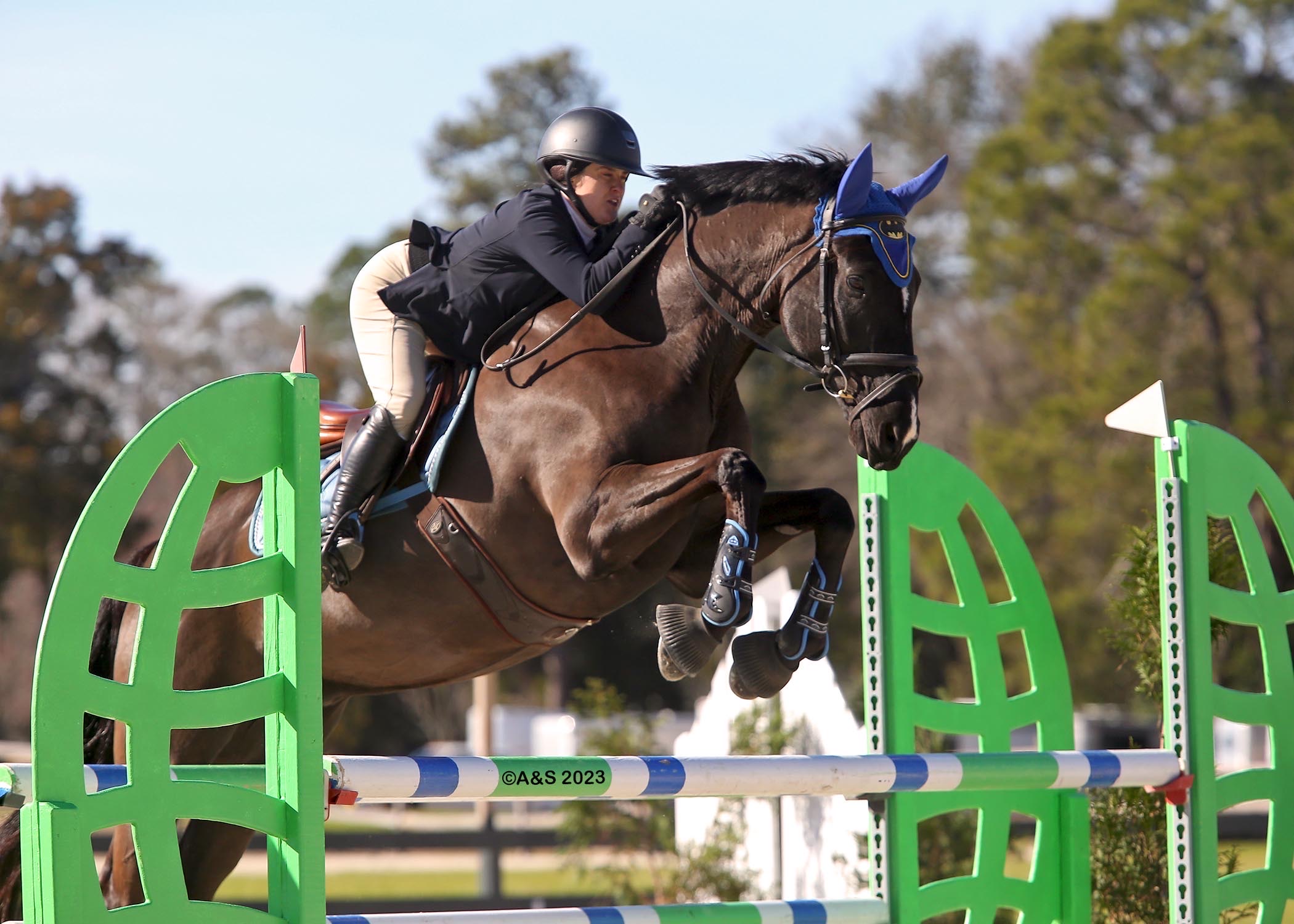 Show Grooming Aiken